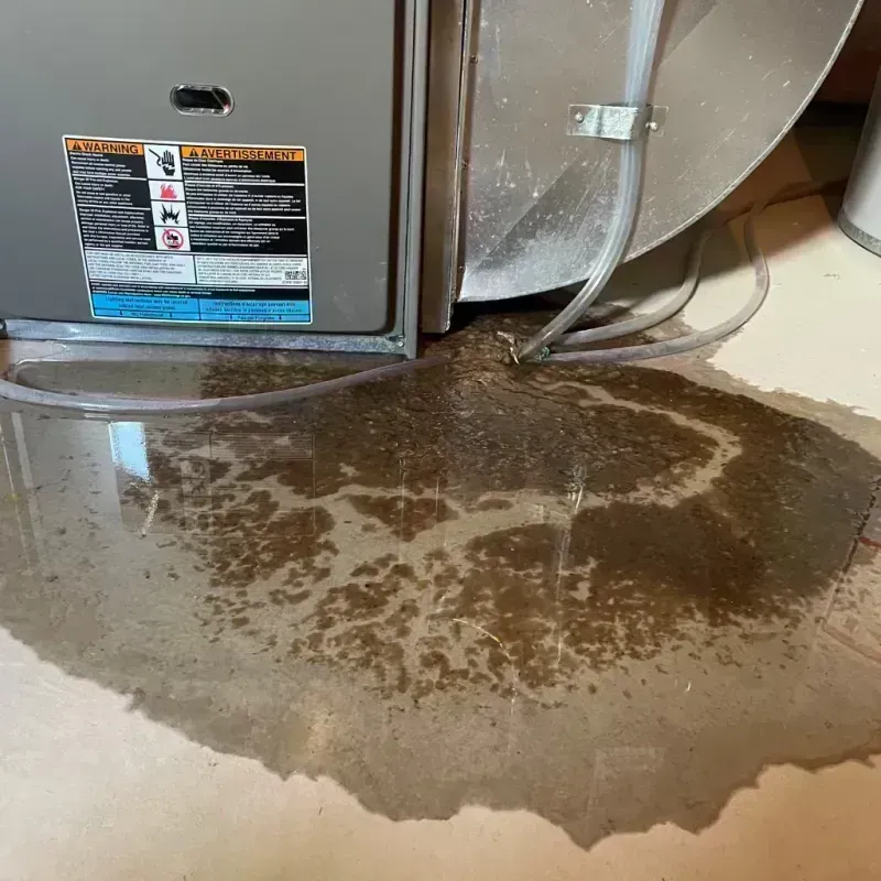 Appliance Leak Cleanup in Kaufman, TX